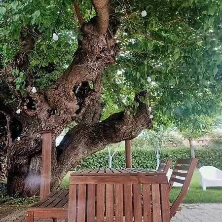 Apartament Tra Mare E Natura *