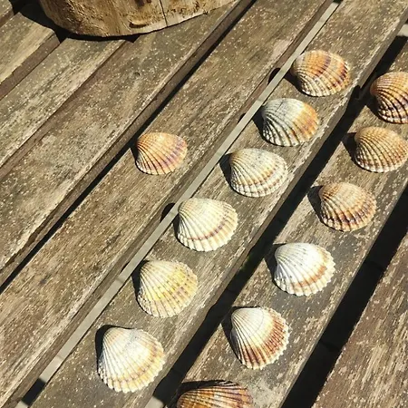 Tra Mare E Natura Apartament Senigallia